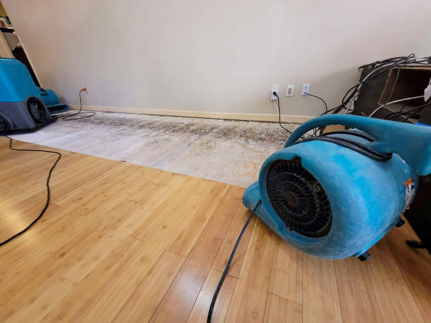 Professional Emergency Water Damage technician working in Lohman, MO